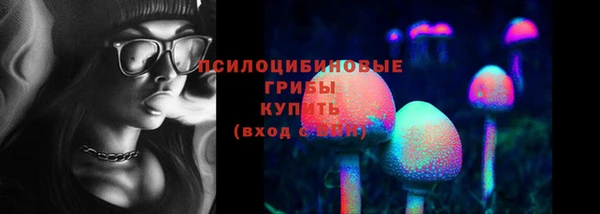 ГАЛЛЮЦИНОГЕННЫЕ ГРИБЫ Медногорск