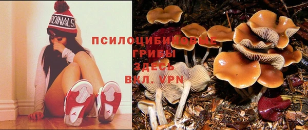 метадон Мегион