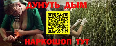 шишки Апшеронск