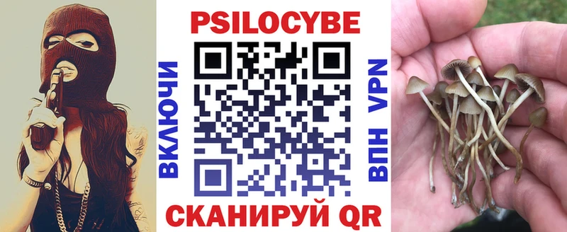 Псилоцибиновые грибы мицелий  Архангельск 